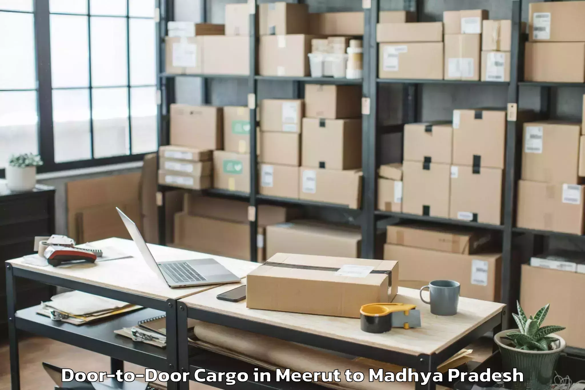 Quality Meerut to Shivpuri Door To Door Cargo